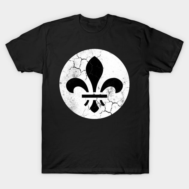 St Louis Flag Fleur de Lis T-Shirt by E